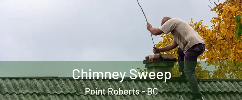  Chimney Sweep Point Roberts - BC