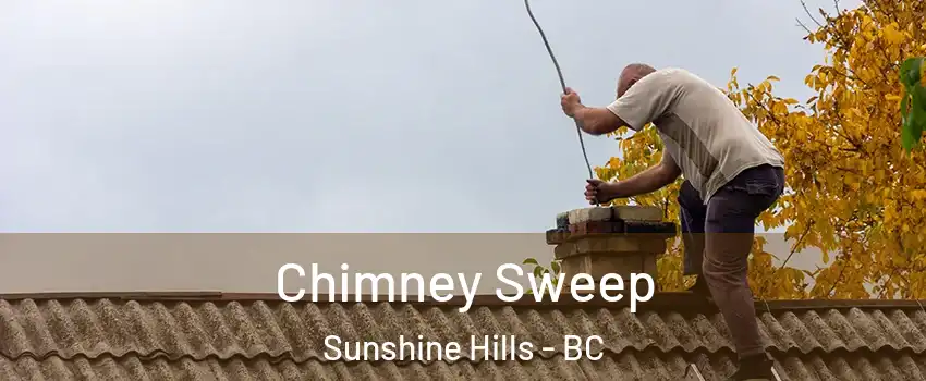  Chimney Sweep Sunshine Hills - BC