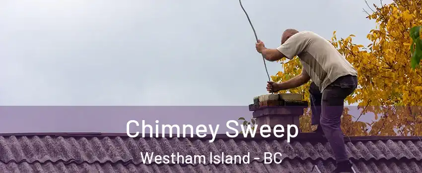  Chimney Sweep Westham Island - BC