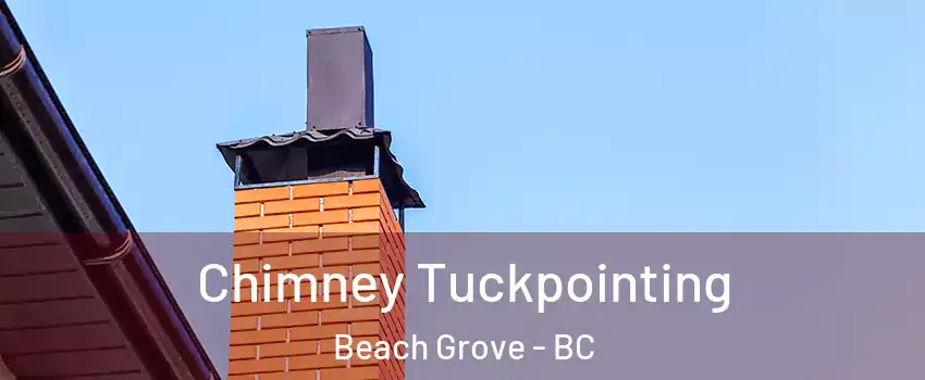  Chimney Tuckpointing Beach Grove - BC