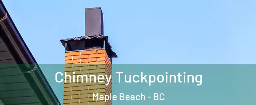  Chimney Tuckpointing Maple Beach - BC