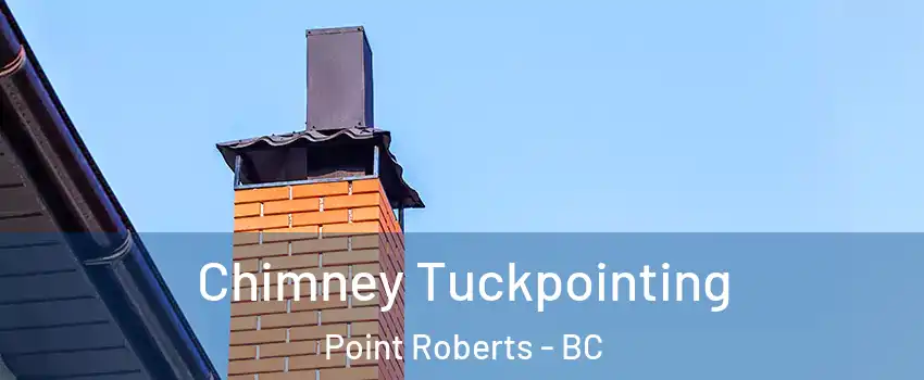  Chimney Tuckpointing Point Roberts - BC