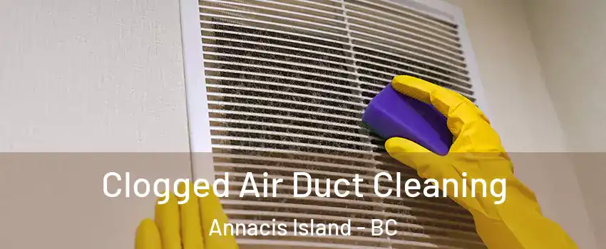 Clogged Air Duct Cleaning Annacis Island - BC