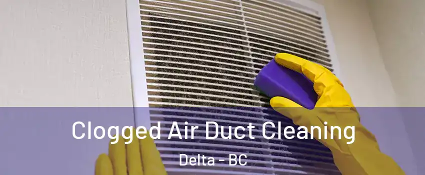  Clogged Air Duct Cleaning Delta - BC