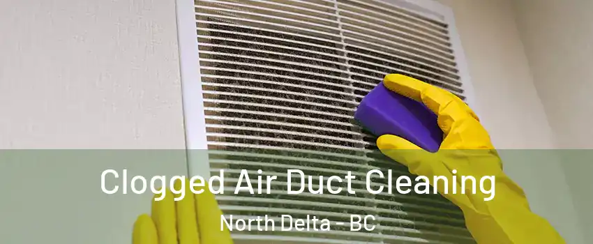  Clogged Air Duct Cleaning North Delta - BC