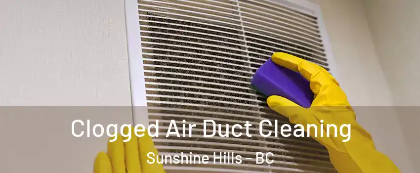  Clogged Air Duct Cleaning Sunshine Hills - BC