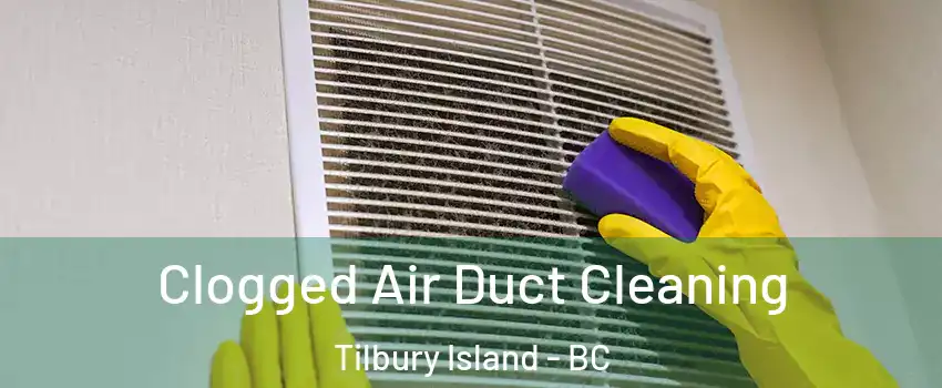  Clogged Air Duct Cleaning Tilbury Island - BC