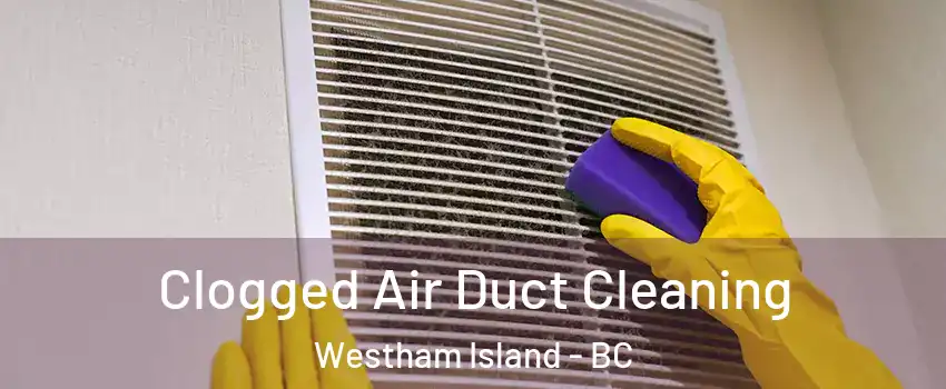  Clogged Air Duct Cleaning Westham Island - BC