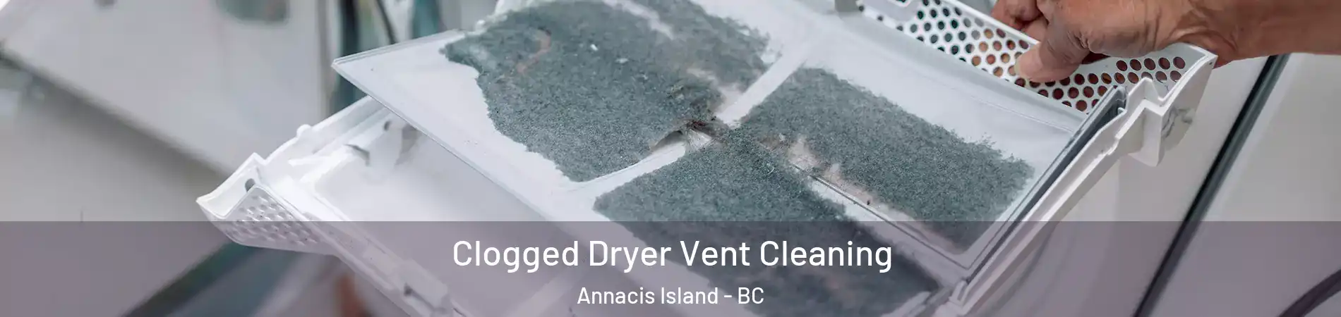  Clogged Dryer Vent Cleaning Annacis Island - BC