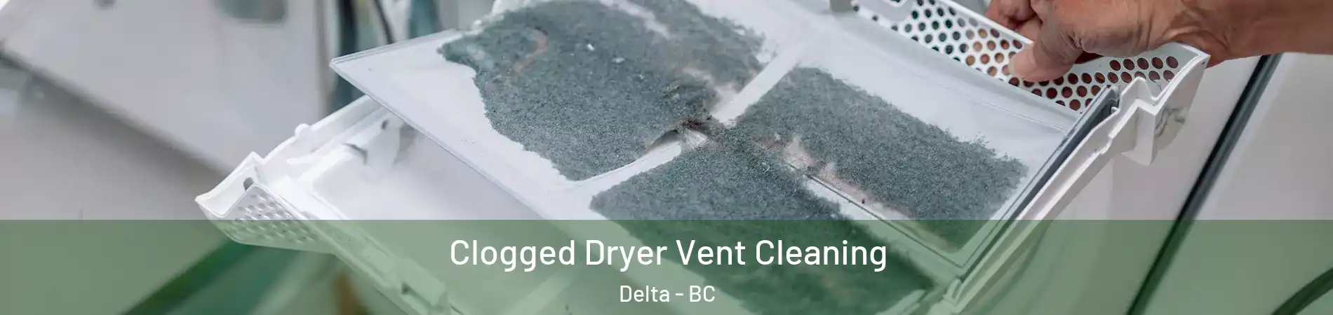  Clogged Dryer Vent Cleaning Delta - BC