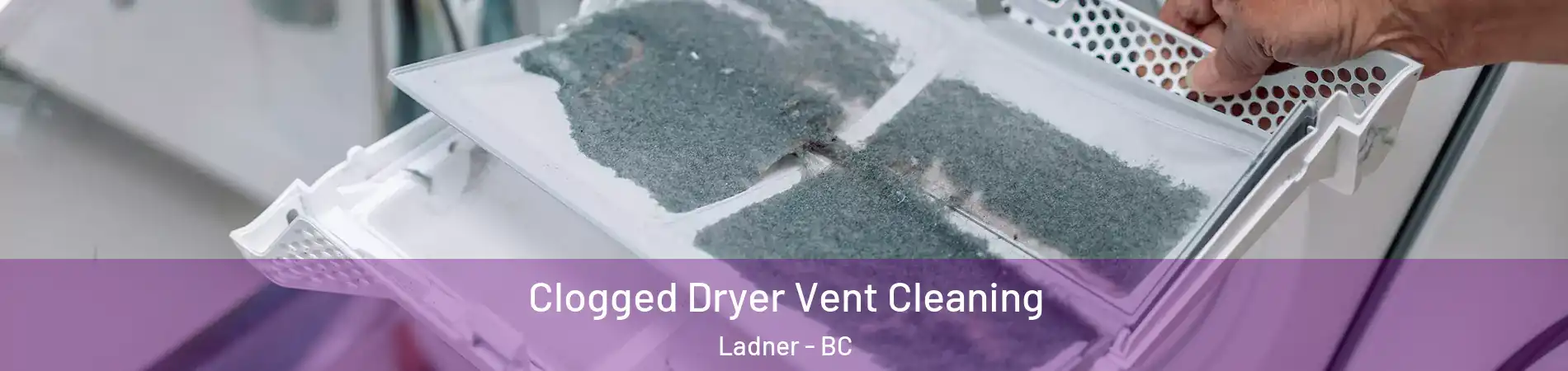  Clogged Dryer Vent Cleaning Ladner - BC