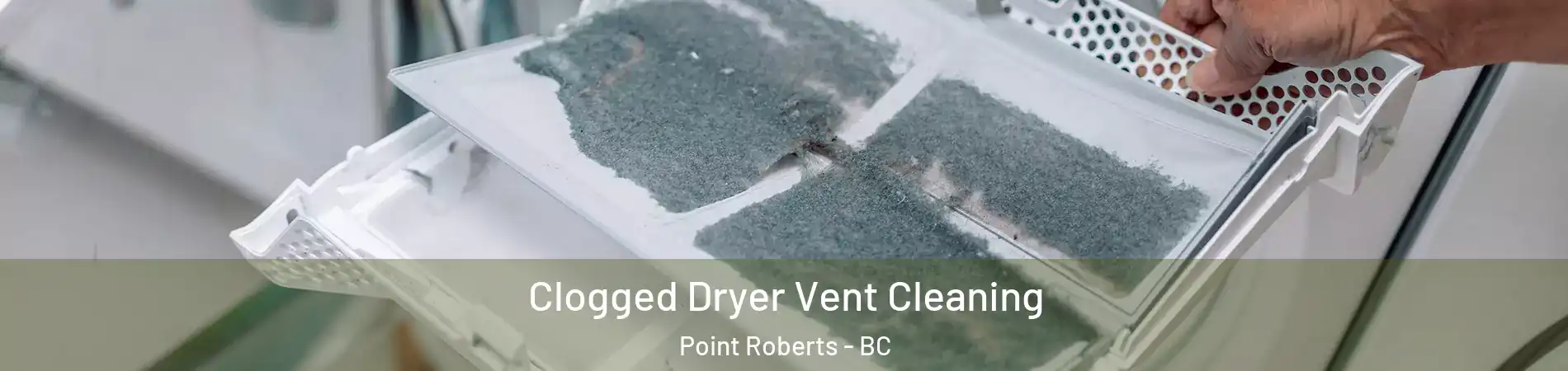 Clogged Dryer Vent Cleaning Point Roberts - BC