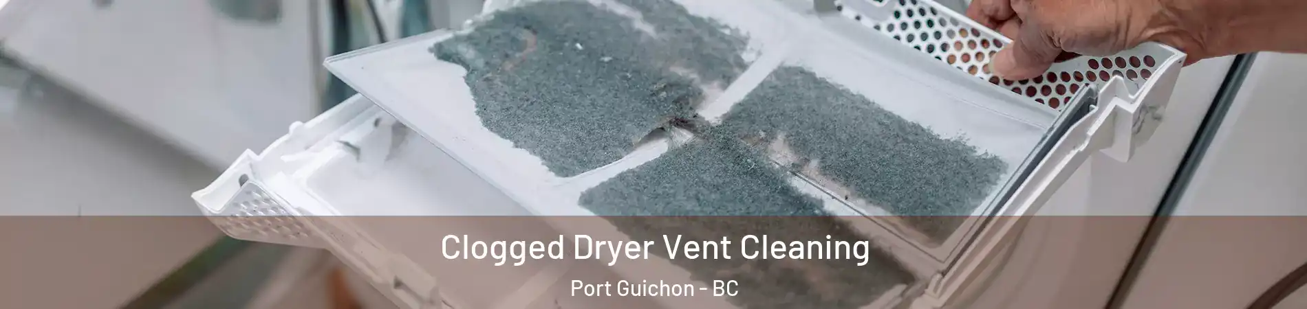  Clogged Dryer Vent Cleaning Port Guichon - BC