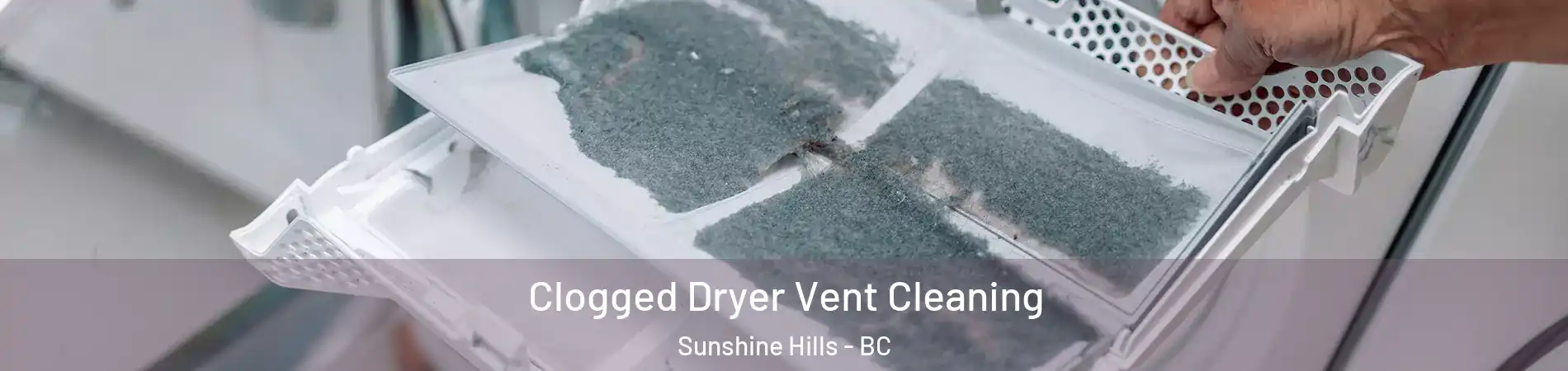 Clogged Dryer Vent Cleaning Sunshine Hills - BC