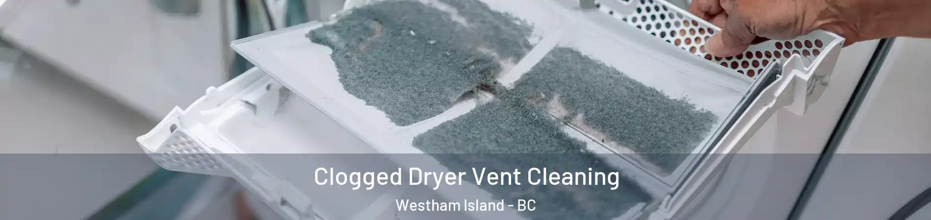  Clogged Dryer Vent Cleaning Westham Island - BC