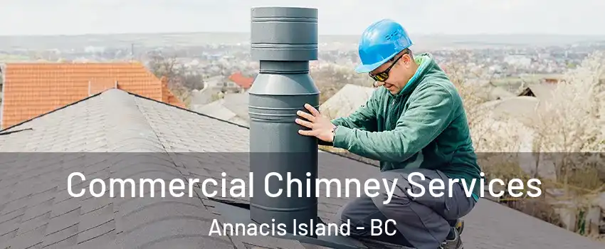  Commercial Chimney Services Annacis Island - BC