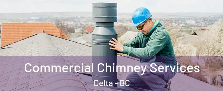  Commercial Chimney Services Delta - BC