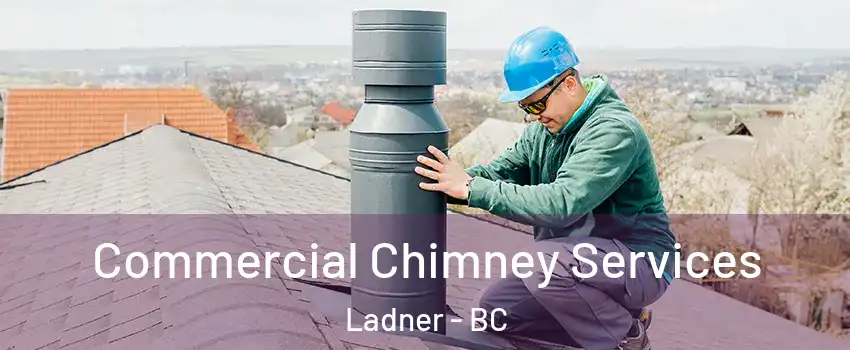  Commercial Chimney Services Ladner - BC