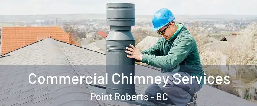  Commercial Chimney Services Point Roberts - BC