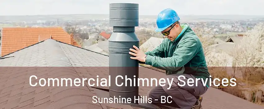  Commercial Chimney Services Sunshine Hills - BC