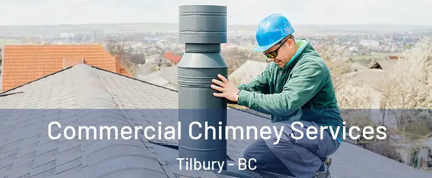  Commercial Chimney Services Tilbury - BC
