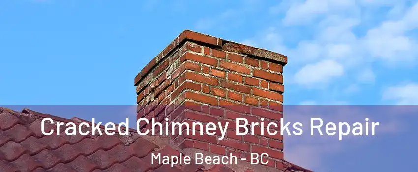  Cracked Chimney Bricks Repair Maple Beach - BC