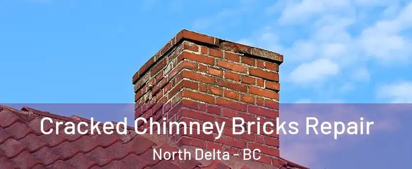  Cracked Chimney Bricks Repair North Delta - BC