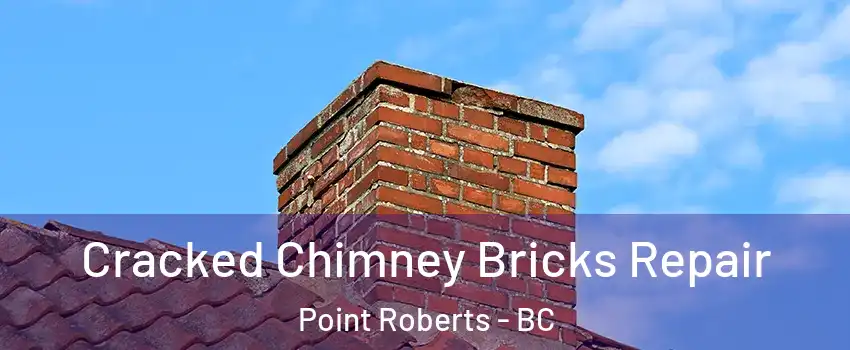 Cracked Chimney Bricks Repair Point Roberts - BC