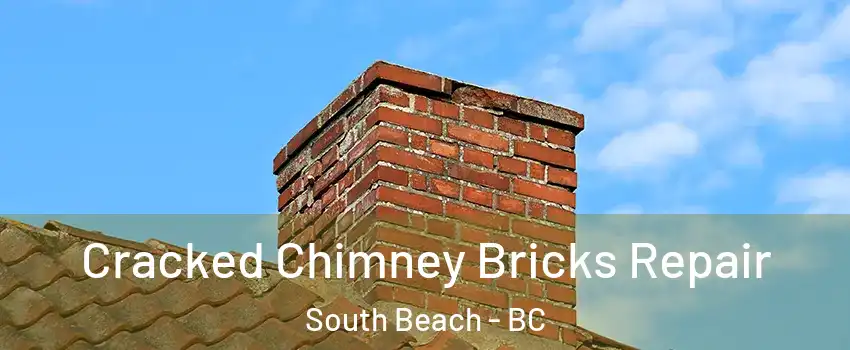  Cracked Chimney Bricks Repair South Beach - BC