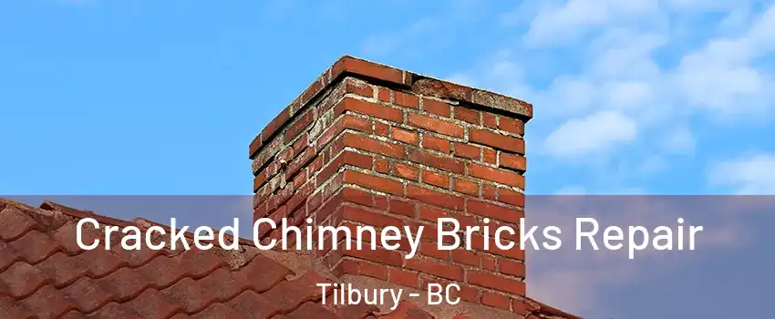  Cracked Chimney Bricks Repair Tilbury - BC