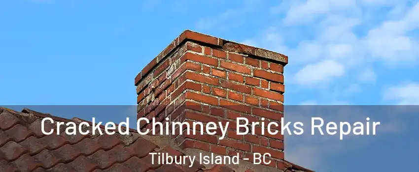  Cracked Chimney Bricks Repair Tilbury Island - BC