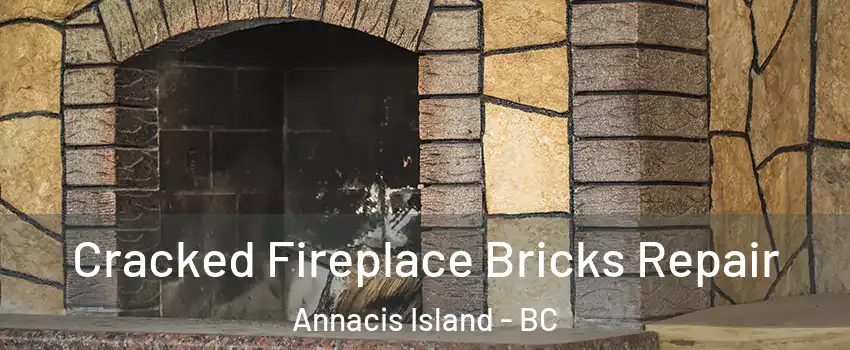  Cracked Fireplace Bricks Repair Annacis Island - BC