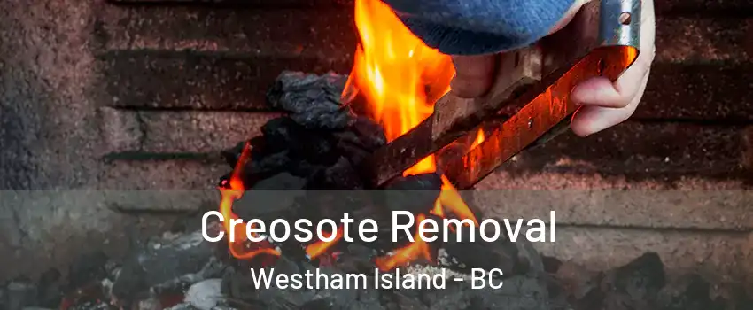  Creosote Removal Westham Island - BC