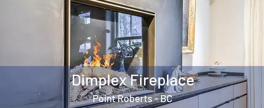  Dimplex Fireplace Point Roberts - BC