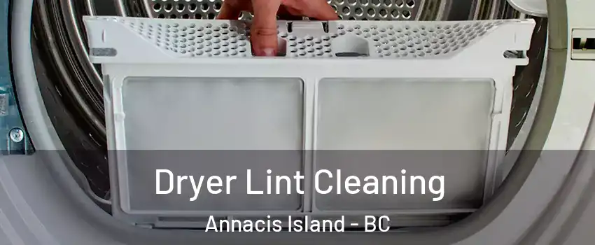  Dryer Lint Cleaning Annacis Island - BC