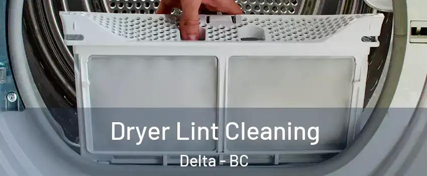  Dryer Lint Cleaning Delta - BC