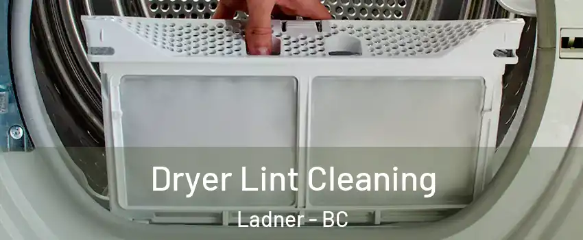  Dryer Lint Cleaning Ladner - BC