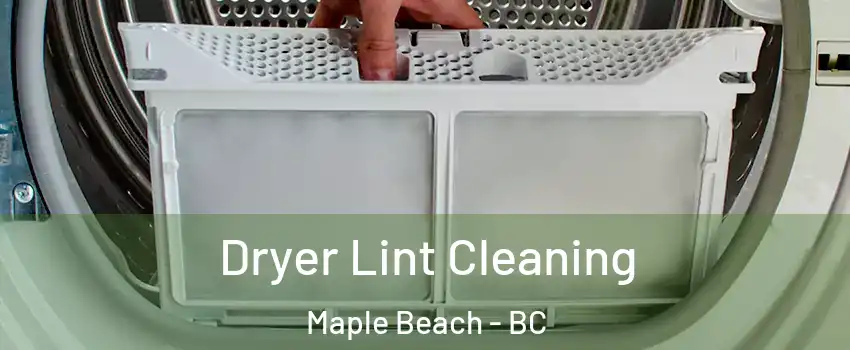  Dryer Lint Cleaning Maple Beach - BC