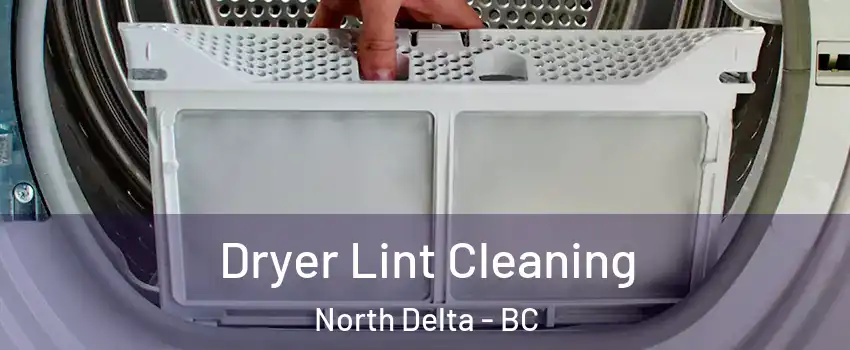  Dryer Lint Cleaning North Delta - BC