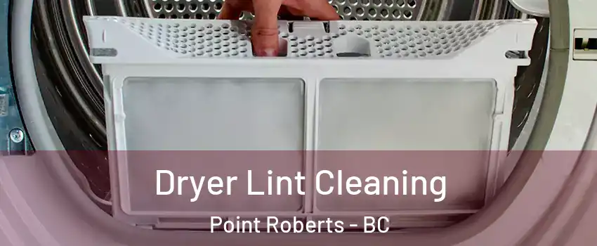  Dryer Lint Cleaning Point Roberts - BC
