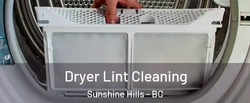  Dryer Lint Cleaning Sunshine Hills - BC