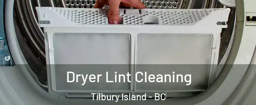  Dryer Lint Cleaning Tilbury Island - BC