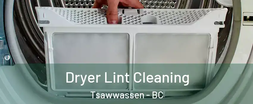  Dryer Lint Cleaning Tsawwassen - BC