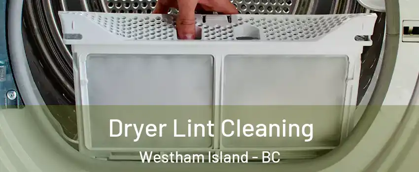  Dryer Lint Cleaning Westham Island - BC