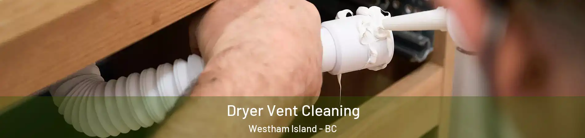  Dryer Vent Cleaning Westham Island - BC