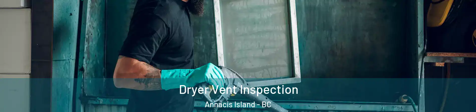 Dryer Vent Inspection Annacis Island - BC