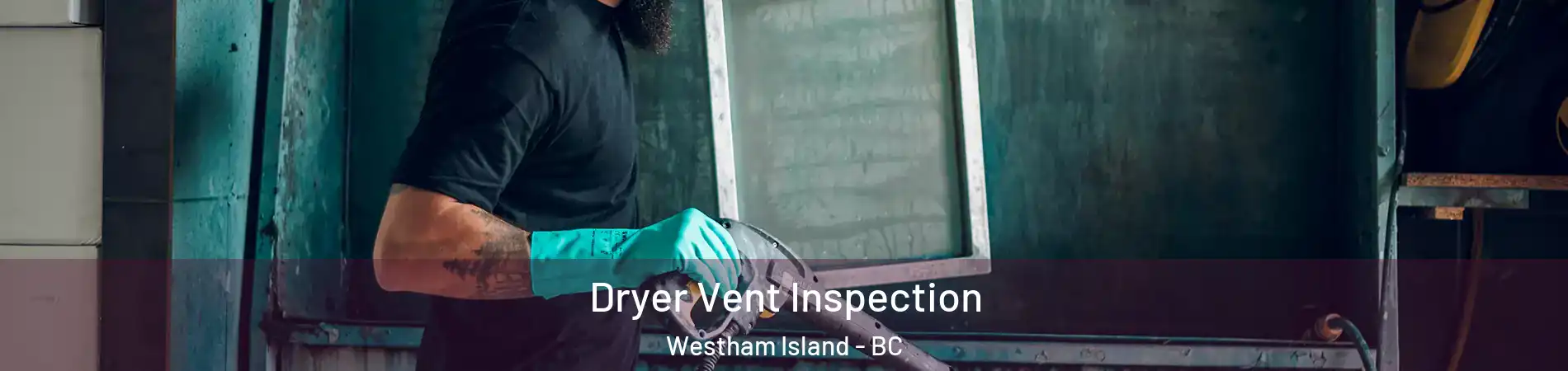  Dryer Vent Inspection Westham Island - BC