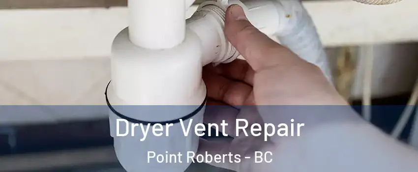  Dryer Vent Repair Point Roberts - BC