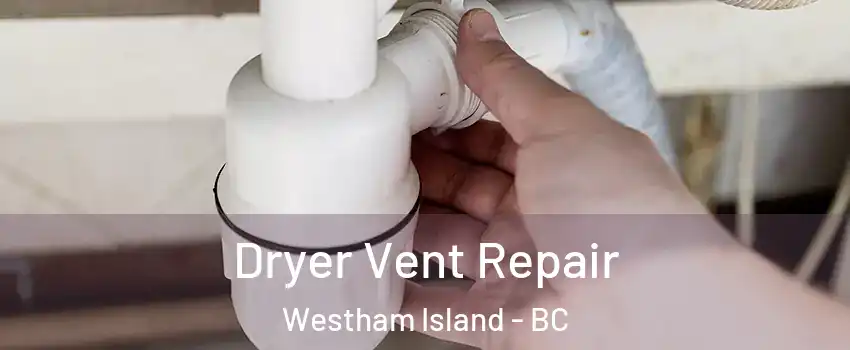  Dryer Vent Repair Westham Island - BC
