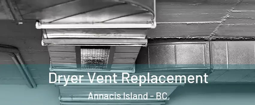  Dryer Vent Replacement Annacis Island - BC